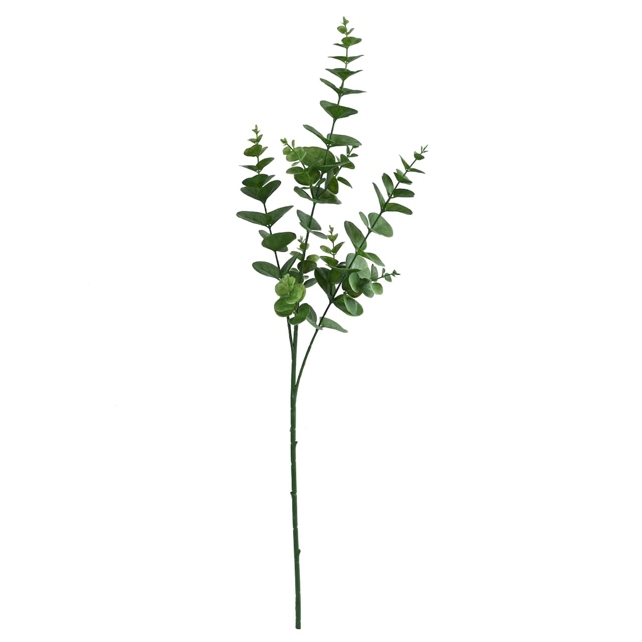 Tige d'eucalyptus vert foncé de 32 pouces par Ashland